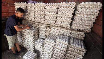 Jasmeet Dango, president of the association, said poultry farmers across Punjab were feeling the impact of rising feed prices. (HT Photo) Jasmeet Dango, president of the association, said poultry farmers across Punjab were feeling the impact of rising feed prices. (HT Photo)