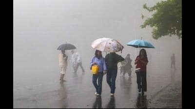 Notably, during the monsoon season so far (from June 1 to September 1), Himachal has recorded a 10% rainfall deficit, with seven districts recording below normal rainfall. (HT File) Notably, during the monsoon season so far (from June 1 to September 1), Himachal has recorded a 10% rainfall deficit, with seven districts recording below normal rainfall. (HT File)
