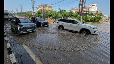 The district logged 58% above-normal rainfall during the week of August 21-27, even as six Haryana districts remained deficient. (HT Archive) The district logged 58% above-normal rainfall during the week of August 21-27, even as six Haryana districts remained deficient. (HT Archive)