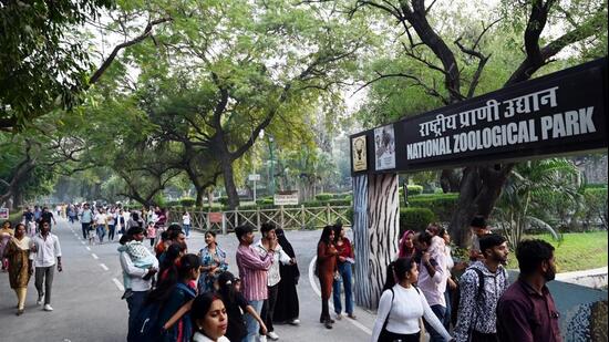 Delhi zoo’s lone Egyptian vulture set to get a mate after 20 years