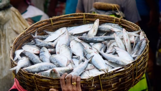 The authorities have advised residents to avoid fish caught from floodwater until conditions stabilise.