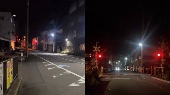An Indian woman shared how walking safely at 11 pm in Japan had made her reflect on women’s safety in India. (Instagram/shee_agar)