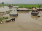 All 69 gates of the Sone Barrage at Indrapuri in Rohtas district have been opened to facilitate the flow of water and help control the flood situation(Photo by \ Hindustan Times, representational image) 
