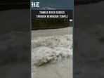 Dehradun: Tamasa River Swells, Floodwaters Enter Tapkeshwar Temple