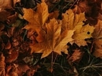  Autumnal equinox 2026