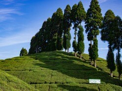 পাহাড়ের আকাশে বিচ্ছিন্নতাবাদী শক্তির মাথাচাড়া!