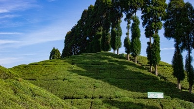 পাহাড়ের আকাশে বিচ্ছিন্নতাবাদী শক্তির মাথাচাড়া! পাহাড়ের আকাশে বিচ্ছিন্নতাবাদী শক্তির মাথাচাড়া!