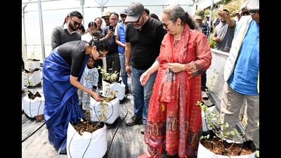This blueberry demonstration site was established by the horticulture department under the central government’s ‘Mission for Integrated Development of Horticulture’ (MIDH) scheme. (Aqil Khan/HT)
