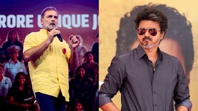 The TVK MLA said Rahul Gandhi will make Vijay the next PM in 2029. (ANI/PTI) The TVK MLA said Rahul Gandhi will make Vijay the next PM in 2029. (ANI/PTI)