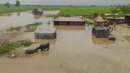 All 69 gates of the Sone Barrage at Indrapuri in Rohtas district have been opened to facilitate the flow of water and help control the flood situation(Photo by \ Hindustan Times, representational image) 