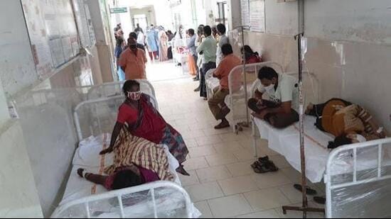 The statement issued by the CMO said that scrub typhus is treatable when diagnosed early. (HT Photo for representation)