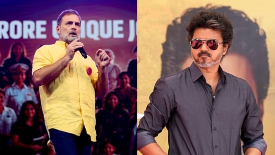 The TVK MLA said Rahul Gandhi will make Vijay the next PM in 2029. (ANI/PTI)