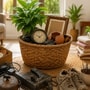 సెప్టెంబర్‌లో పండుగల ముందు ఇంట్లో ఈ వస్తువులు అస్సలు ఉంచొద్దు.. వాస్తు ప్రకారం ప్రతికూల శక్తి!