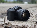The right camera can make tracking and capturing wildlife far easier.