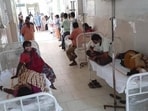 The statement issued by the CMO said that scrub typhus is treatable when diagnosed early. (HT Photo for representation)