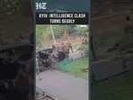 Ukraine Spy War? SBU, GUR Personnel Clash in Deadly Kyiv Shootout
