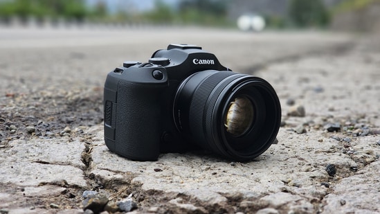 The right camera can make tracking and capturing wildlife far easier. (Amit Rahi - HT)