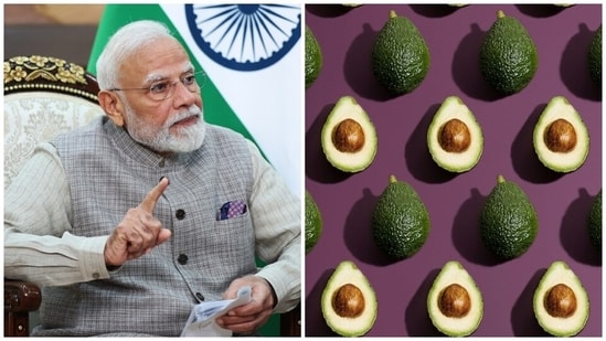 Avocados have numerous health benefits.