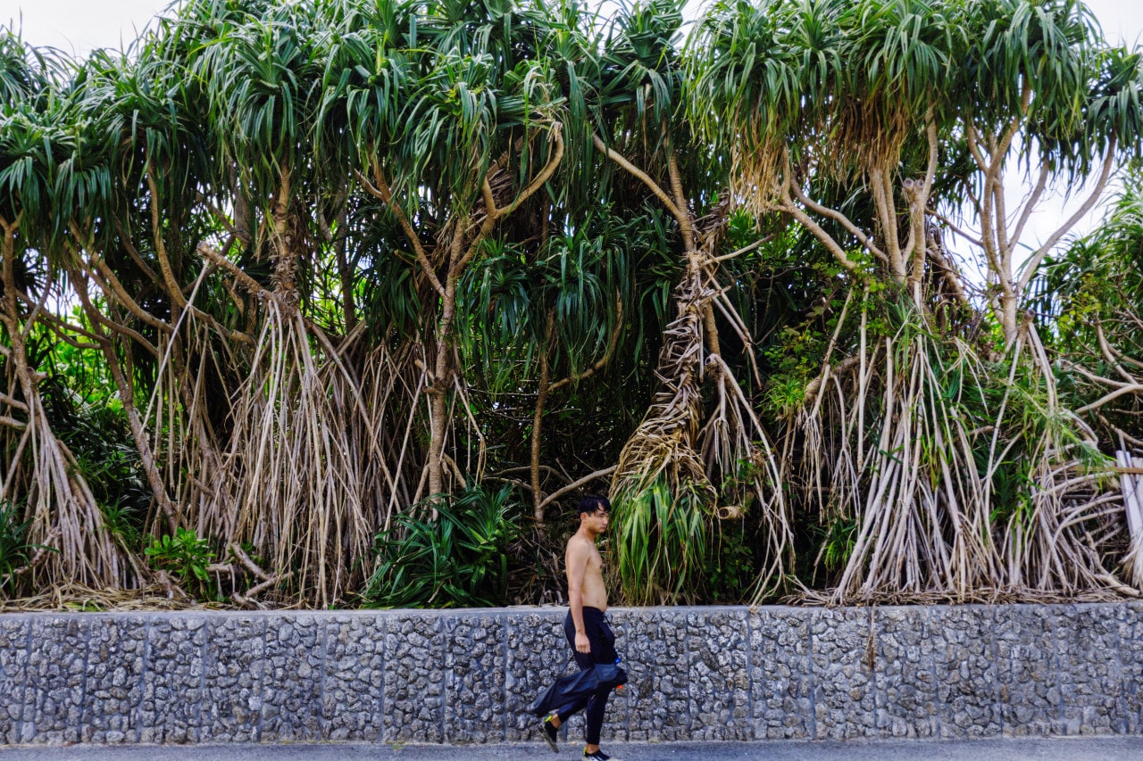 The island is known for its mangrove forests and coral reefs. The island is known for its mangrove forests and coral reefs.