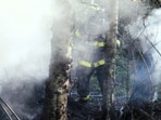 The Tampa plane crash victims were identified as David Siambanes and Dawn Stone.