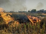 Stubble burning in Amritsar in 2024. (PTI/Representative photo)