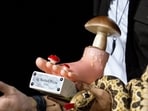 Ig Nobel Prize was ceremony held in the Zurich Convention Center in Zurich, Switzerland, on Thursday, Sept 3, 2026. 