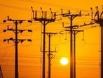 The move comes as Punjab grapples with an acute power crisis, with electricity demand soaring during the ongoing paddy season. (HT File)