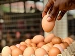 Sunday ho ya Monday: Why your daily egg is getting harder to afford