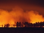 A vegetation blaze dubbed the Airport Fire was reported in Thermal, California. Image for representational purposes.