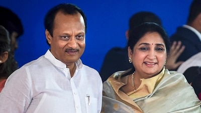 NCP president Sunetra Pawar made the remarks while responding to criticism from NCP (SP) leaders over the investigation into the plane crash. (PTI/File) NCP president Sunetra Pawar made the remarks while responding to criticism from NCP (SP) leaders over the investigation into the plane crash. (PTI/File)