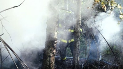 The Tampa plane crash victims were identified as David Siambanes and Dawn Stone. (X/@info7mty)