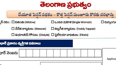 చేయూత పింఛన్లు చేయూత పింఛన్లు