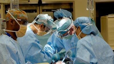 The report, titled “Porcine kidney xenotransplantation as a bridge to allotransplantation: a first-in-human study,” detailed the procedure performed at Massachusetts General Hospital in Boston. (Unsplash) The report, titled “Porcine kidney xenotransplantation as a bridge to allotransplantation: a first-in-human study,” detailed the procedure performed at Massachusetts General Hospital in Boston. (Unsplash)