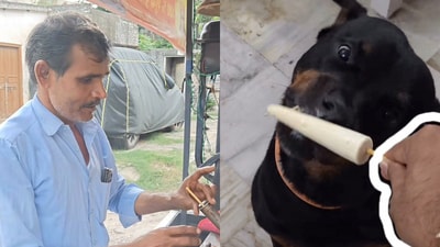 Jaipur kulfi vendor’s thoughtful gesture goes viral. (Instagram/@vikram_brewer_mittal) Jaipur kulfi vendor’s thoughtful gesture goes viral. (Instagram/@vikram_brewer_mittal)