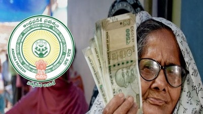 పెన్షన్ల పంపిణీపై కీలక అప్డేట్ పెన్షన్ల పంపిణీపై కీలక అప్డేట్