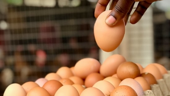 Consumption of eggs has risen even as disease and extreme heat have thinned flocks. (Unplash/ Representational)