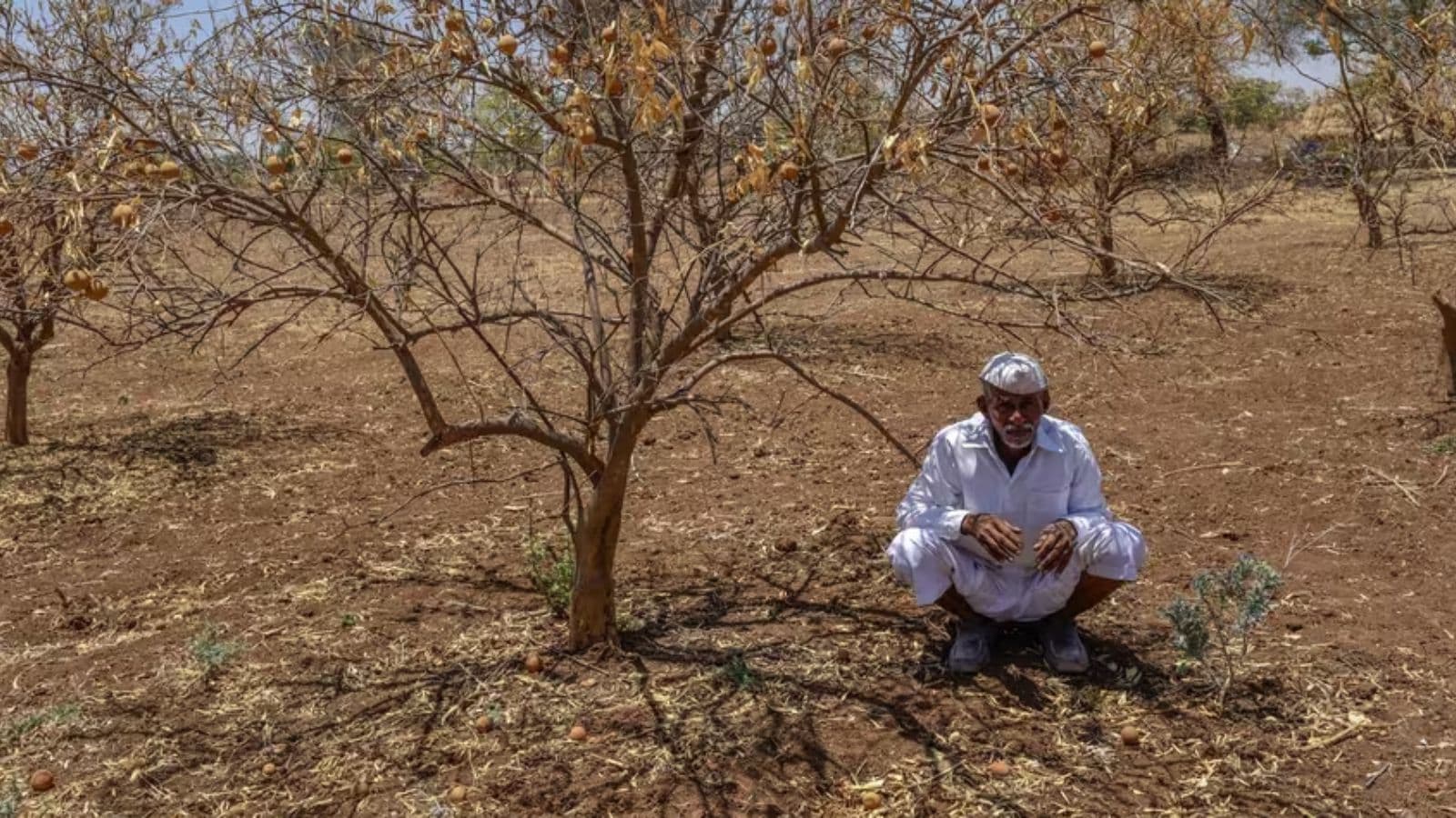 India endured its deadliest heatwave on record in 1998, coming right on the heels of the 20th century's most severe El Niño. (Ht Archive/ Representational) India endured its deadliest heatwave on record in 1998, coming right on the heels of the 20th century's most severe El Niño. (Ht Archive/ Representational)