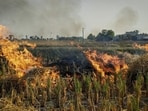 A field burns as farmers set fire to crop residue.