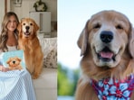 Tucker Budzyn was diagnosed with lymphoma.