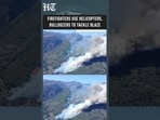 León Wildfire: Flames Sweep Through Sosas de Laciana As Firefighters Mobilise