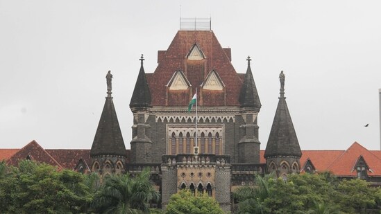 The Bombay High Court directed Maharashtra to identify all persons who died during hazardous sewer or septic tank cleaning. (HT Photo)