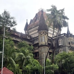 FSSAI's counsel clarified to the Bombay HC that the primary issue is the fundamental nature of the product, 