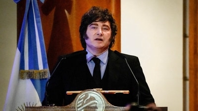 Argentine President Javier Milei (REUTERS)