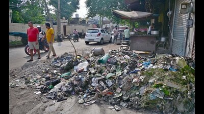 Uncollected garbage dumped along street corners creates unhygienic conditions across neighbourhoods.