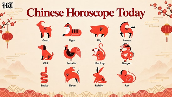 Chinese Horoscope Today: Read the astrological predictions for each zodiac sign based on an expert's guidance(pinterest)
