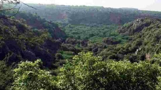 Kataria, who inaugurated the meet, said ecological security was closely linked to food and water security, livelihoods and sustainable development. (HT File)