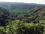 Kataria, who inaugurated the meet, said ecological security was closely linked to food and water security, livelihoods and sustainable development. (HT File)