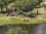 The development assumes significance as the fresh exercise to define the Aravallis was ordered by the Supreme Court.
