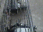 CTV footage from the building collapse site in Satya Niketan, Delhi’s South-West district.