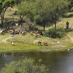 The development assumes significance as the fresh exercise to define the Aravallis was ordered by the Supreme Court.